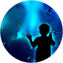 ごまたま profile picture