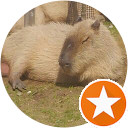 Moon Eichel profile picture
